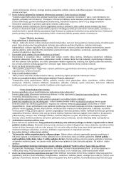 Įmonės veiklos planavimo kontroliniai klausimai 2 puslapis