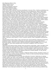 Protokolas 2 puslapis