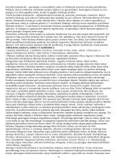 Protokolas 12 puslapis