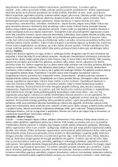 Protokolas 13 puslapis