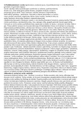 Protokolas 15 puslapis