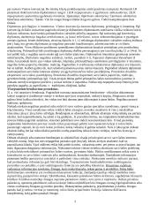 Protokolas 3 puslapis