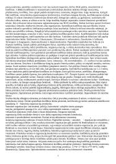 Protokolas 7 puslapis