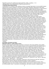 Protokolas 8 puslapis