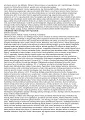 Protokolas 10 puslapis