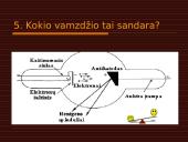 Šviesos banginės savybės ir šviesos reiškinys 14 puslapis