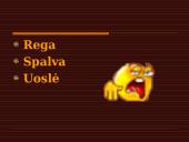 Šviesos banginės savybės ir šviesos reiškinys 9 puslapis