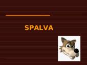 Šviesos banginės savybės ir šviesos reiškinys 10 puslapis