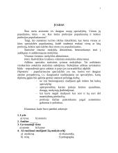 Abiturientų specialybių pasirinkimo prioritetai ir priežastys 3 puslapis