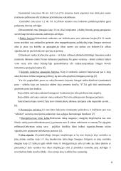 Etiketas ir kūno kalba 4 puslapis