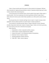 Lietuvos eksportas ir importas 2000 - 2004 metais 3 puslapis