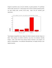 Narkotikai mūsų visuomenėje ir jų plitimo priežastys 19 puslapis