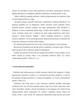 Narkotikai mūsų visuomenėje ir jų plitimo priežastys 5 puslapis