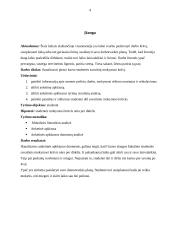 Pirmo kurso studentės savaitinis mokymosi krūvis 4 puslapis