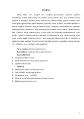 Sociologijos tyrimas: kavos gėrimo įpročiai 3 puslapis