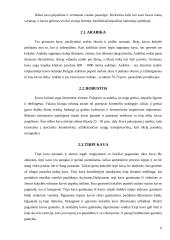 Sociologijos tyrimas: kavos gėrimo įpročiai 6 puslapis