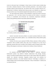 Studentų pilietinio aktyvumo raiška Šiaulių universitete 11 puslapis