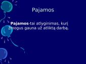 Pajamos ir pelnas 2 puslapis