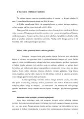 Amžiaus tarpsnių psichologinės charakteristikos 5 puslapis