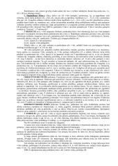 Baudžiamoji teisės teorija koliokviumui 11 puslapis