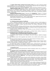 Baudžiamoji teisės teorija koliokviumui 15 puslapis