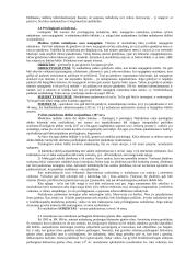 Baudžiamoji teisės teorija koliokviumui 17 puslapis