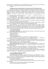 Baudžiamoji teisės teorija koliokviumui 4 puslapis