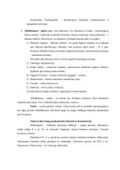 Budizmo filosofija ir religija 11 puslapis