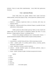 Budizmo filosofija ir religija 16 puslapis