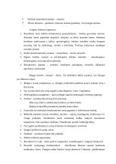 Budizmo filosofija ir religija 20 puslapis