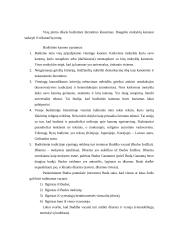 Budizmo filosofija ir religija 6 puslapis