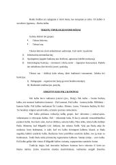 Budizmo filosofija ir religija 8 puslapis