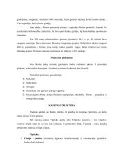 Budizmo filosofija ir religija 9 puslapis
