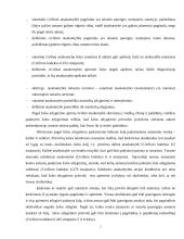 Civilinė atsakomybė 2 puslapis