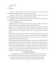 Civilinė atsakomybė 4 puslapis