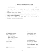 Civilinė atsakomybė 9 puslapis