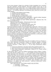 De Sacramentis 20 puslapis