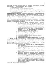 De Sacramentis 3 puslapis