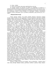 De Sacramentis 9 puslapis