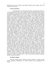 De Sacramentis 10 puslapis