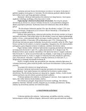 Dirvožemio geografija 19 puslapis