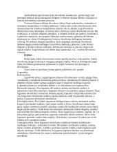 Dirvožemio geografija 3 puslapis