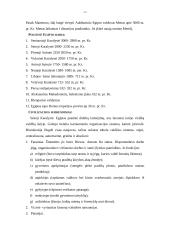 Egipto civilizacija 2 puslapis