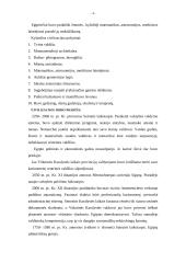 Egipto civilizacija 4 puslapis