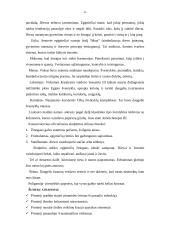 Egipto civilizacija 6 puslapis