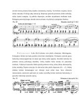 Frederikas Šopenas 1810-1849 11 puslapis