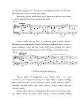 Frederikas Šopenas 1810-1849 14 puslapis