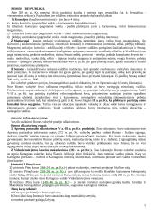 Helenistinės civilizacijos romėniškasis laikotarpis 2 puslapis