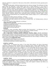 Helenistinės civilizacijos romėniškasis laikotarpis 6 puslapis