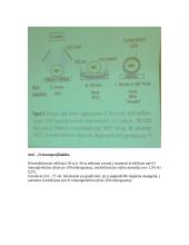 Hemolizinė naujagimių liga 7 puslapis